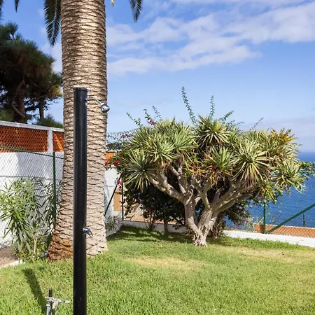 Castano, Garden On The Edge Of The Atlantic * El Sauzal